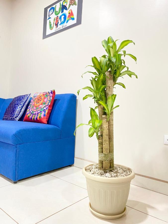 Pura Vida Apartment. 5 Min From Airport Alajuela Buitenkant foto
